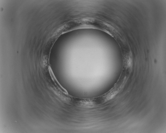 X0000069800284200605221147