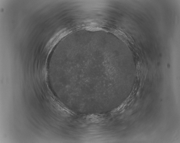 X0000069800290200605221146