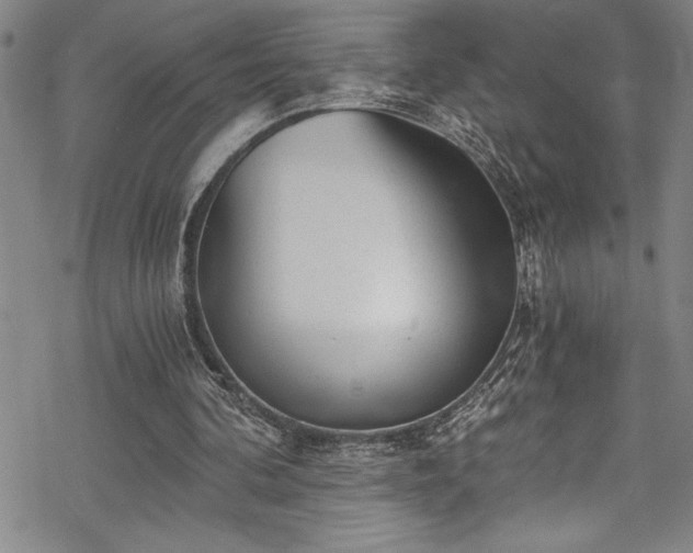 X0000069800292200605221146