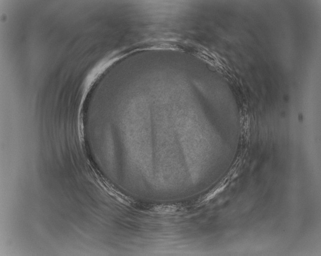 X0000069800294200605221146