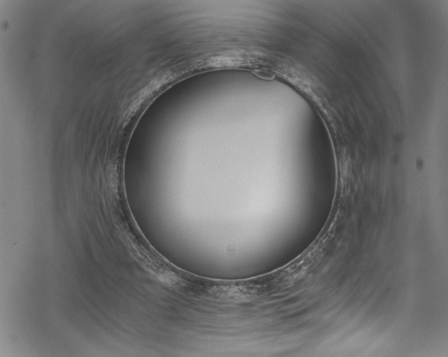 X0000069800297200605221146