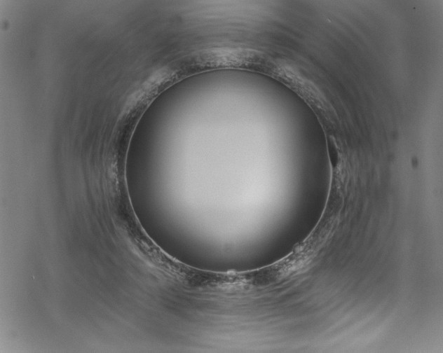 X0000069800306200605221146