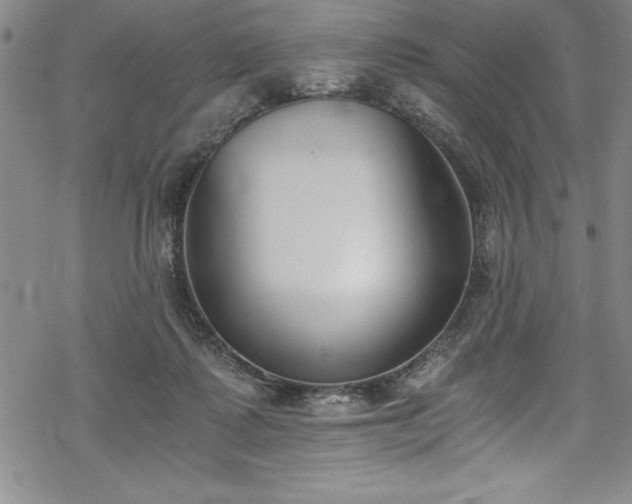 X0000069800315200605221146