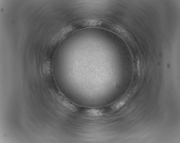 X0000069800326200605221146