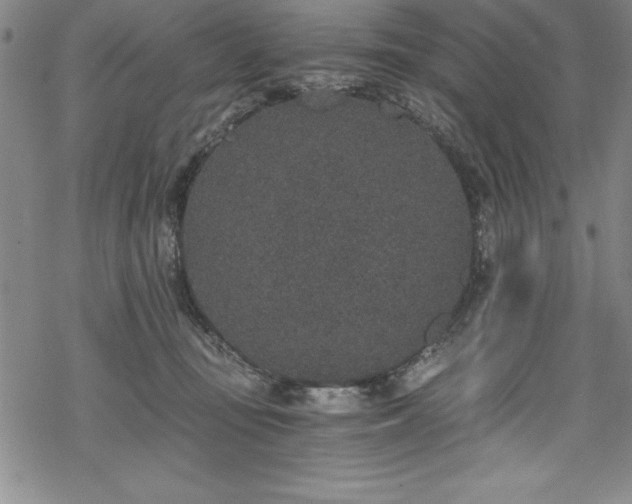 X0000069800371200605221145