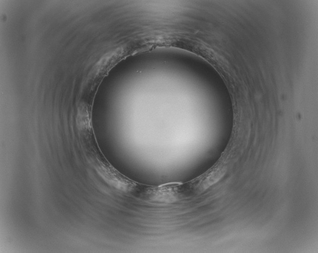 X0000069800384200605221146