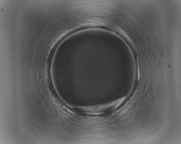 X0000069800387200605221145