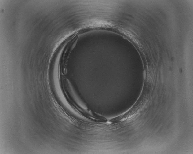 X0000069800391200605221145