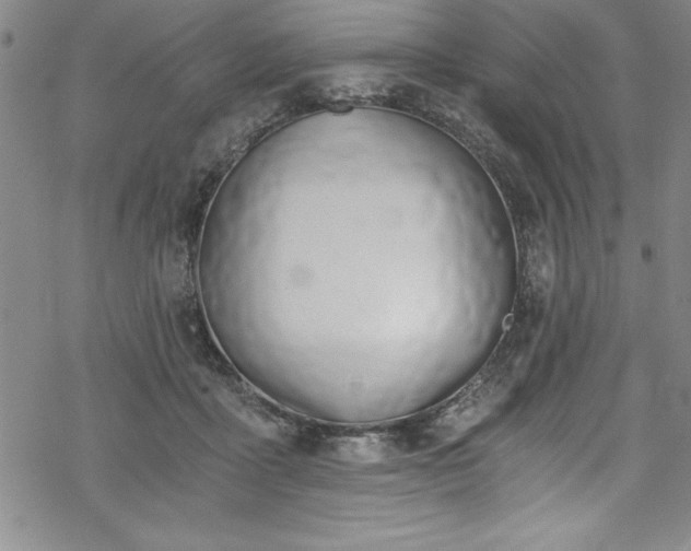 X0000069800411200605221144