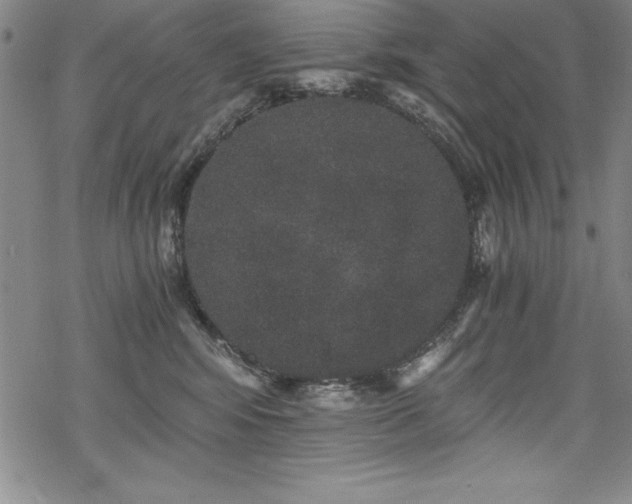 X0000069800424200605221144