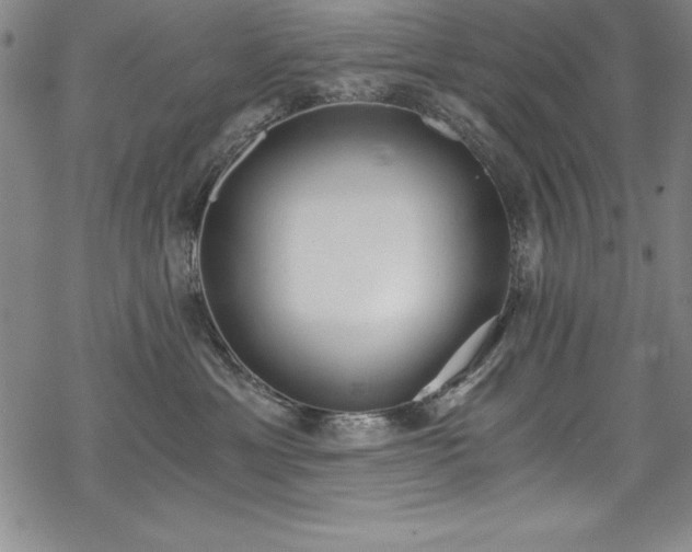 X0000069800429200605221144