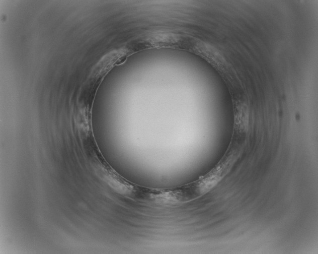 X0000069800430200605221144