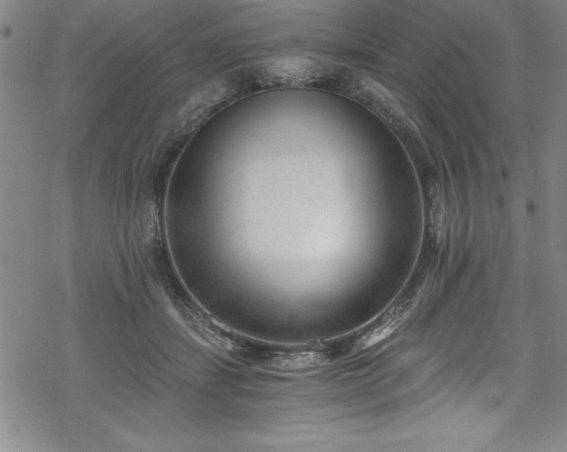 X0000069800459200605221144