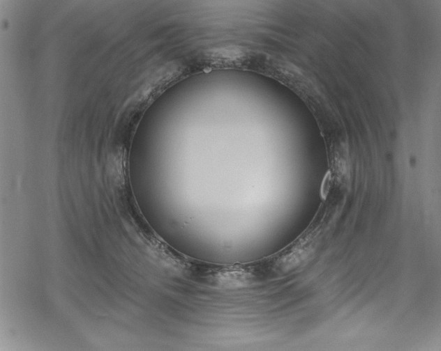 X0000069800468200605221144