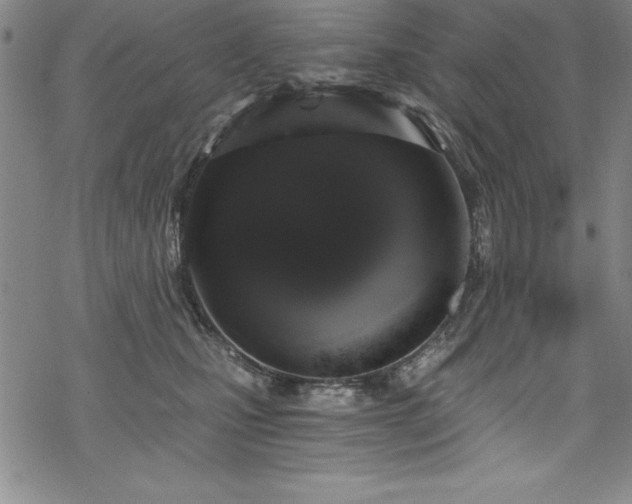 X0000069800471200605221144