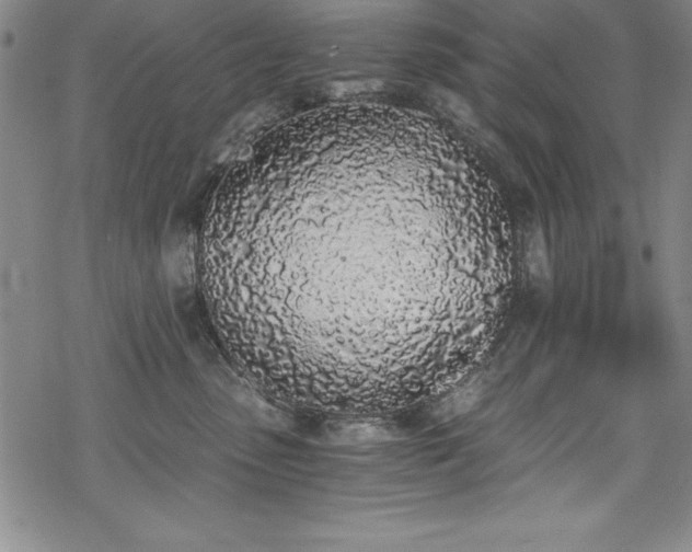 X0000069800475200605221144