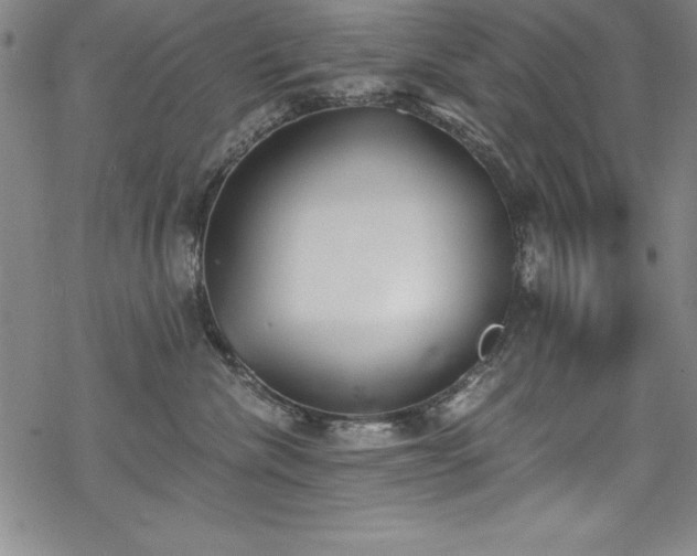 X0000069800476200605221144