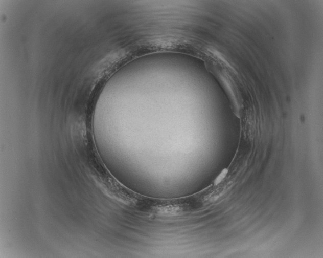 X0000069800500200605221143