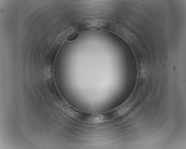 X0000069800514200605221143