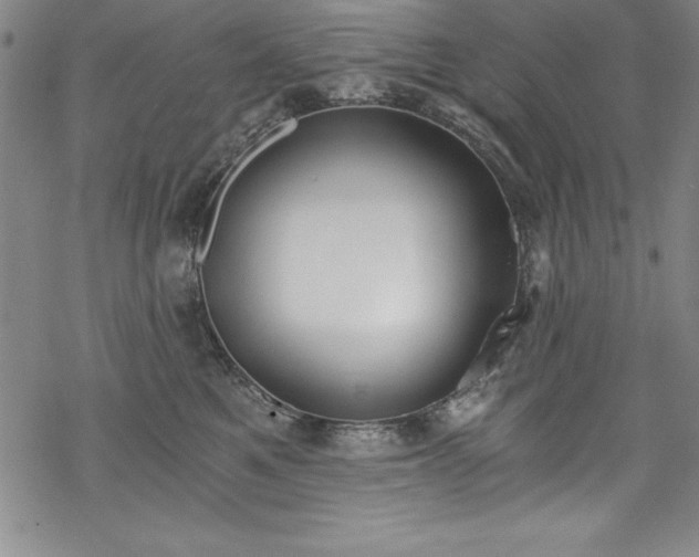 X0000069800521200605221143