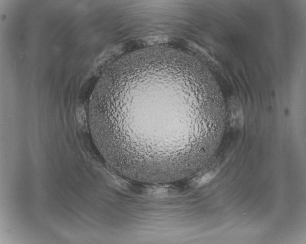 X0000069800523200605221143