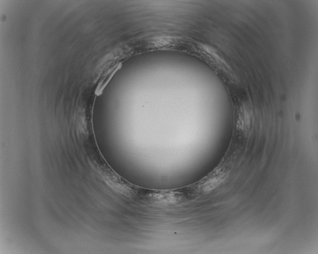X0000069800524200605221143