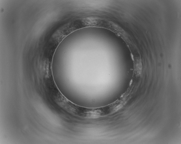 X0000069800525200605221143