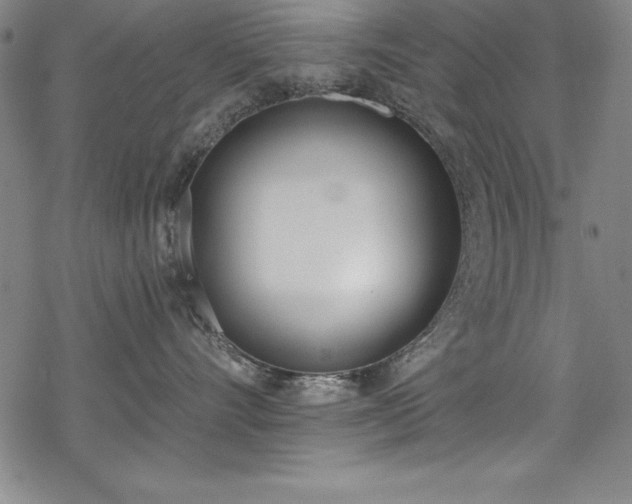 X0000069800528200605221142