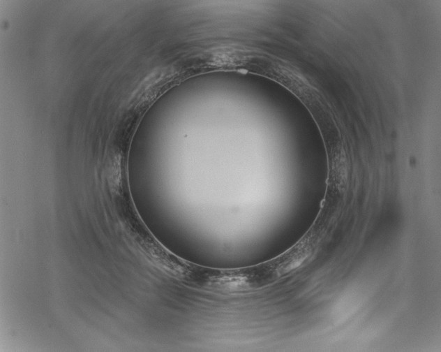 X0000069800554200605221142