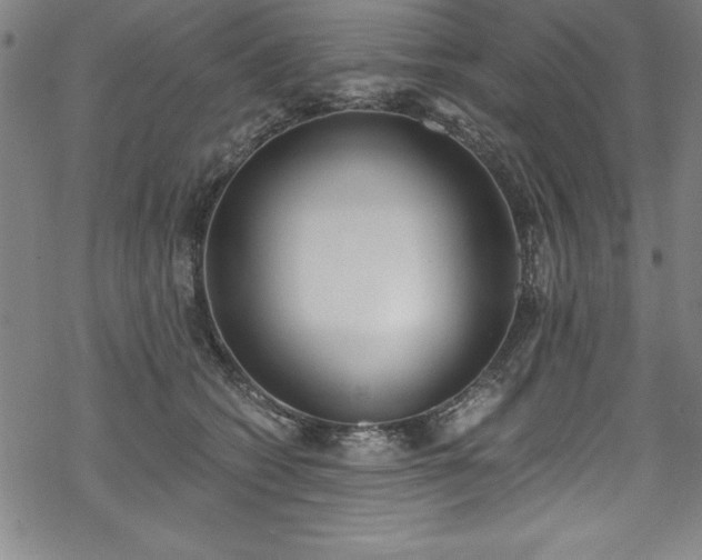X0000069800562200605221142