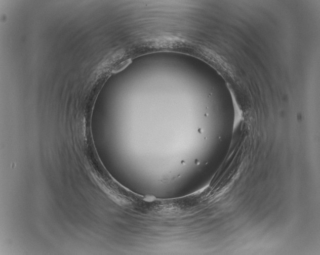 X0000069800589200605221141