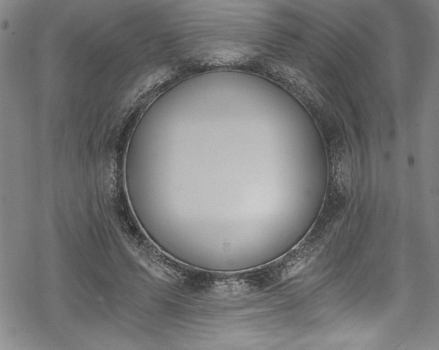 X0000069800591200605221141