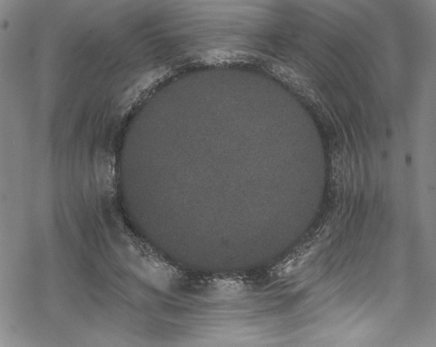 X0000069800592200605221141