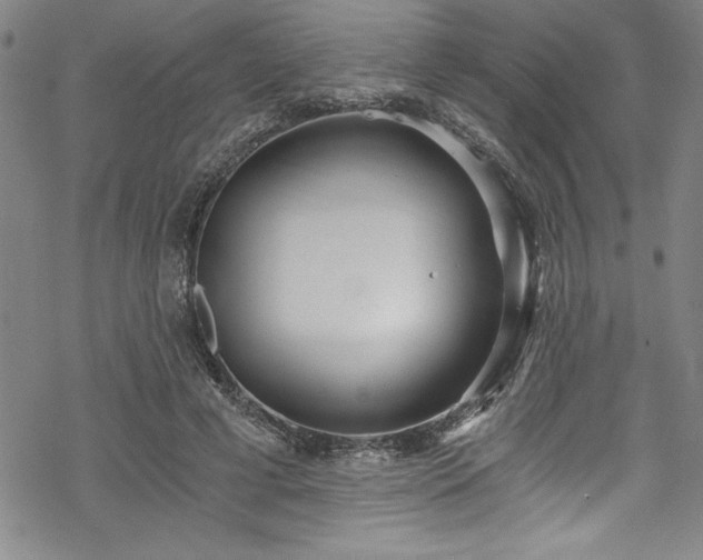 X0000069800593200605221141