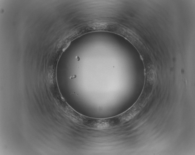 X0000069800604200605221141