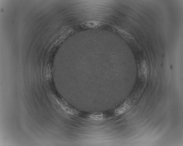 X0000069800606200605221141