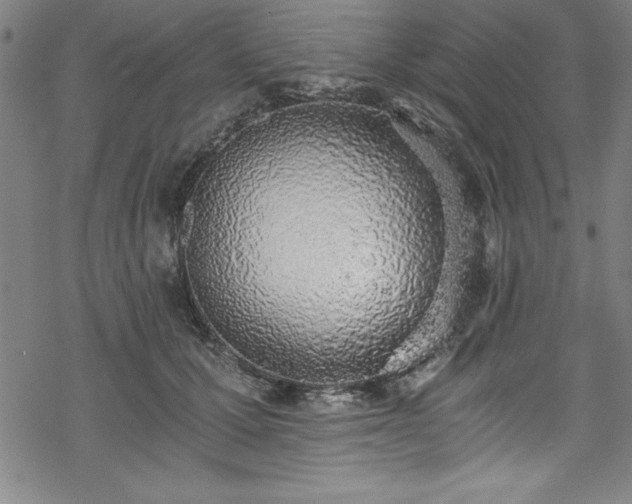 X0000069800607200605221141