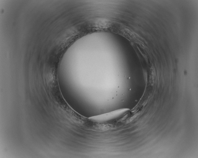 X0000069800608200605221141