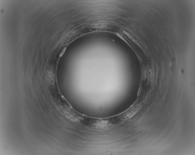 X0000069800609200605221141