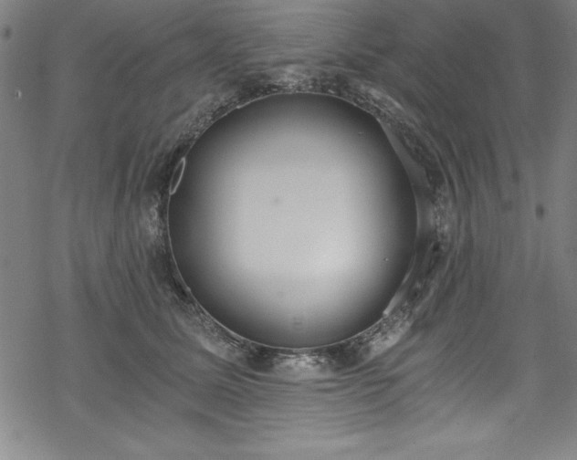 X0000069800611200605221141