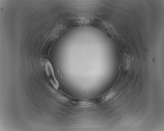 X0000069800614200605221141