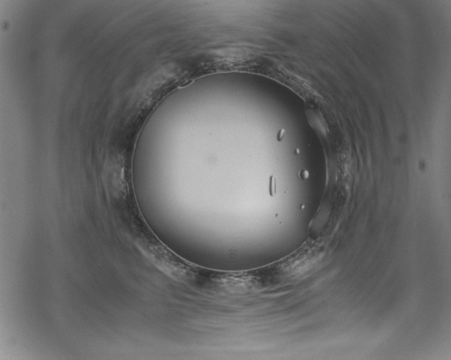 X0000069800615200605221141