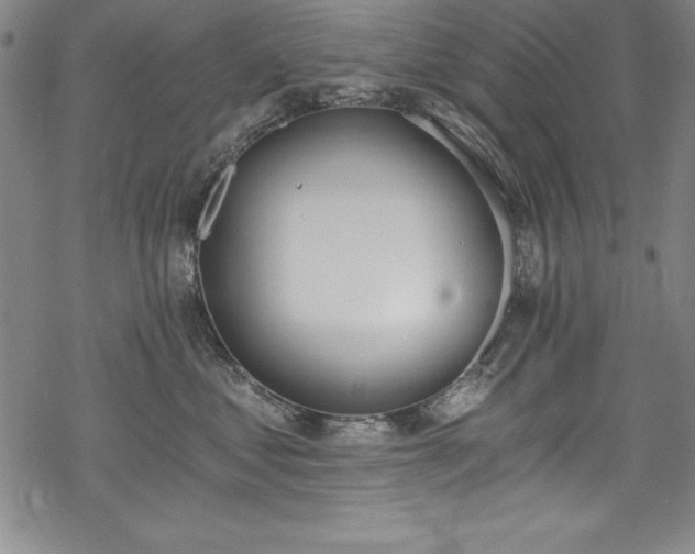 X0000069800621200605221141