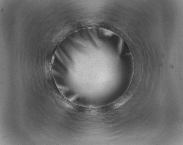 X0000069800624200605221141