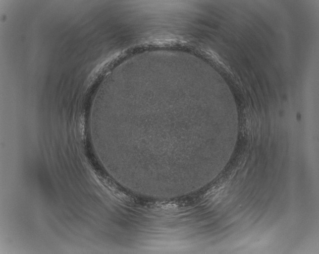 X0000069800640200605221140