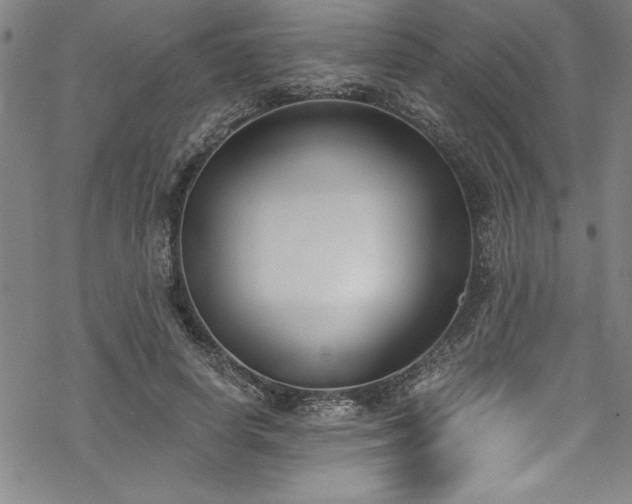 X0000069800642200605221140