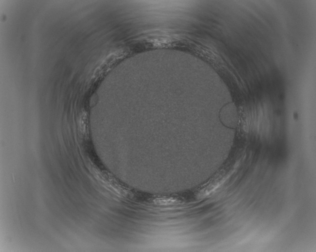 X0000069800650200605221141