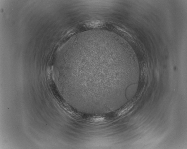 X0000069800651200605221141