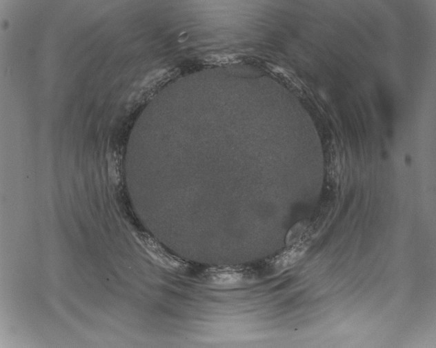 X0000069800658200605221141