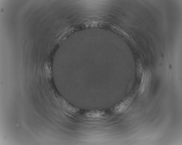 X0000069800661200605221141